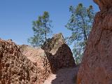 Pinnacles NM 012
